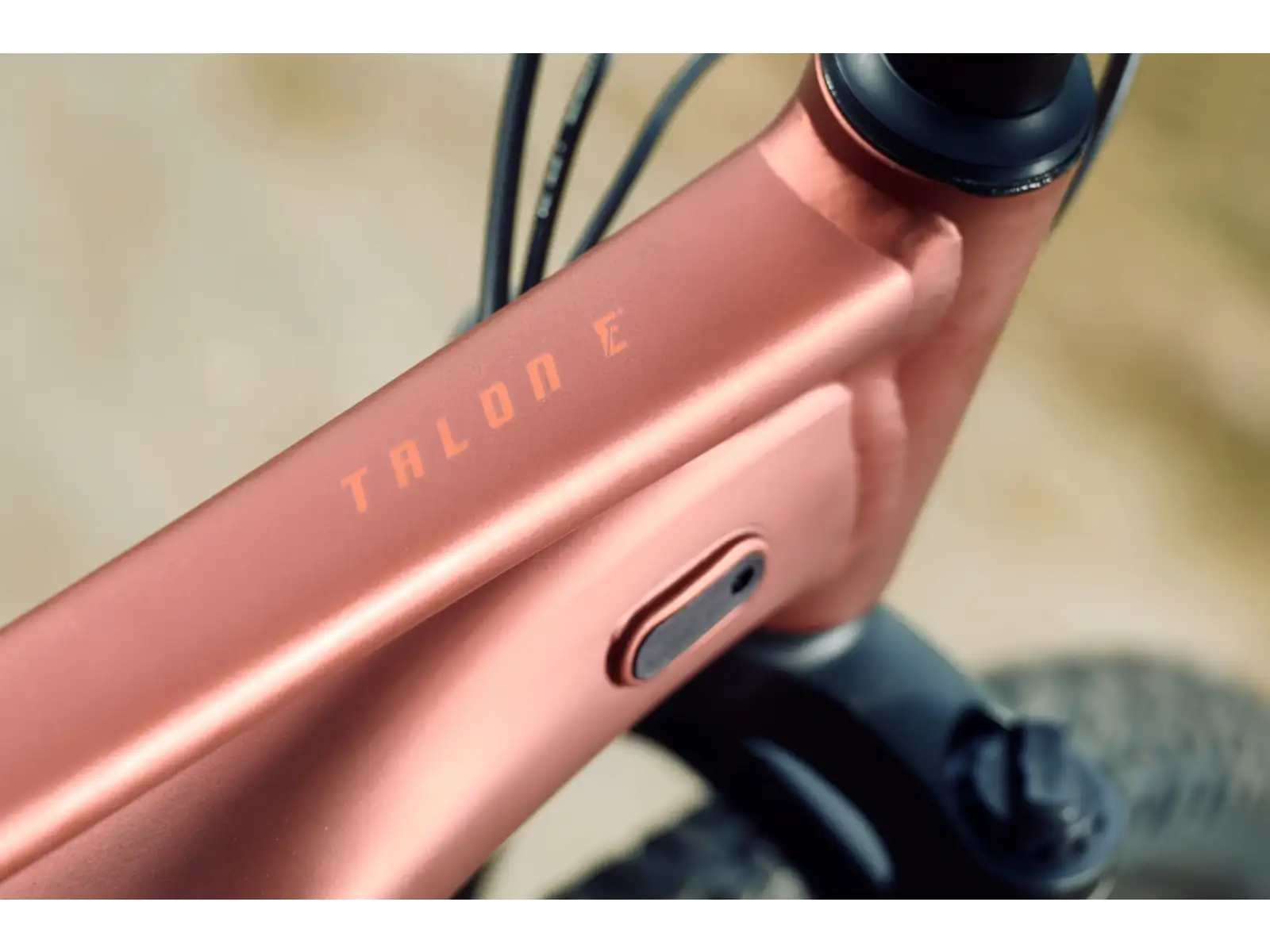 Giant Talon E+ Junior 24 dziecięcy rower elektryczny Terracotta