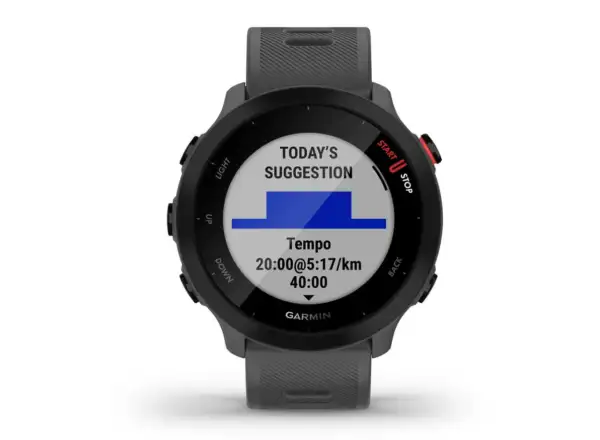 Garmin Forerunner 55 inteligentny zegarek Grey