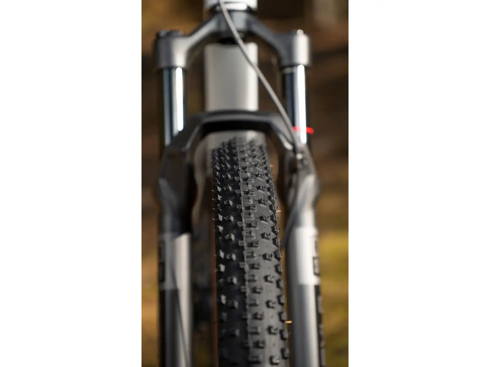 Rock Machine Blizz Cr 70 rower górski Gloss Limerock Grey