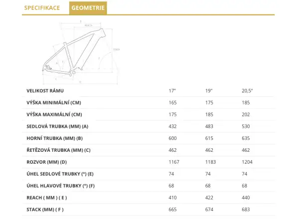 4Ever Esword Team M510 górski rower elektryczny Sand/Metal Silver