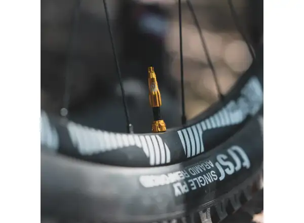 Lezyne CNC TLR bezdętkowe wentyle 44 mm silver