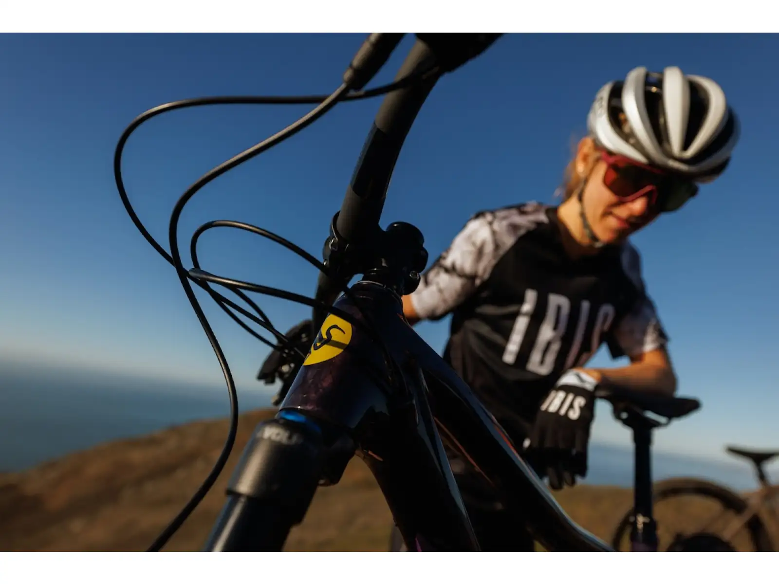 IBIS DV9 frame set Muddy Waters