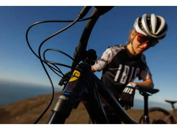 IBIS DV9 frame set Muddy Waters