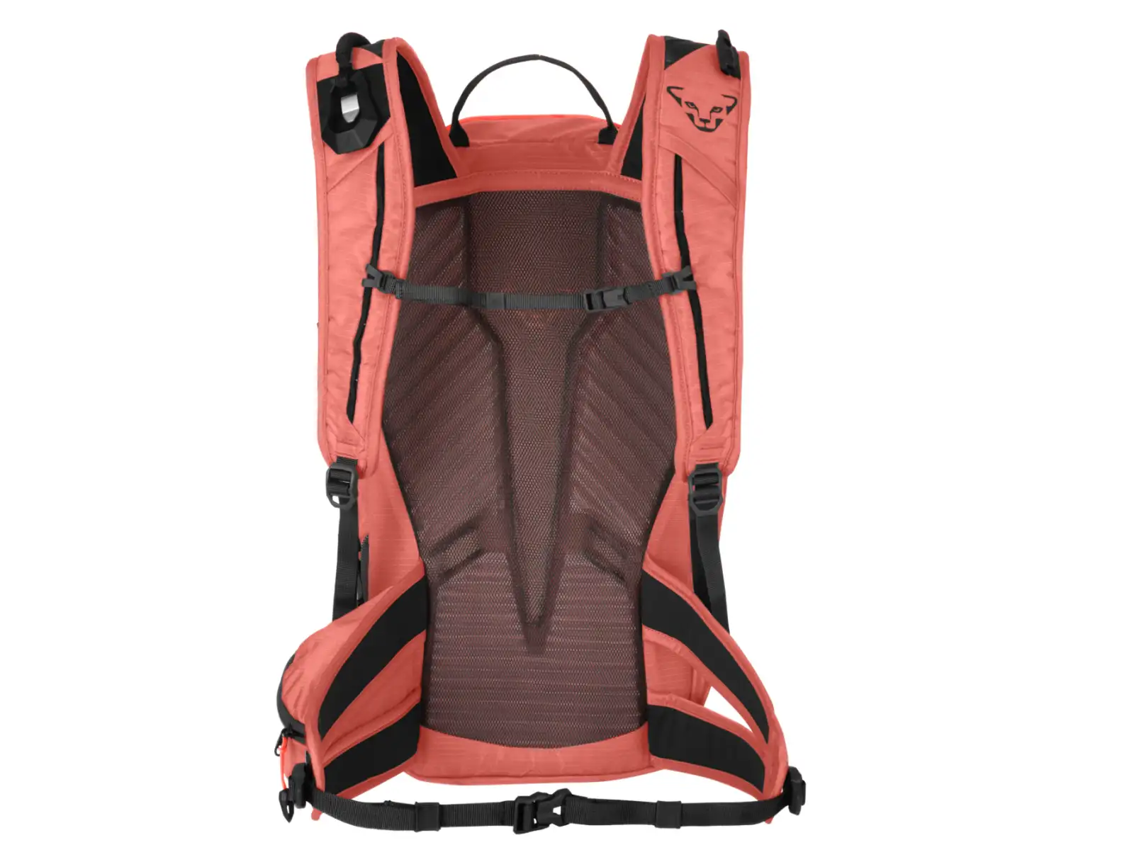 Dynafit Speed damski plecak 22 l Cabana