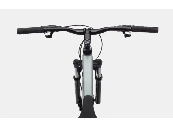 Cannondale Trail Womens 8 29" damski rower górski Sage Gray