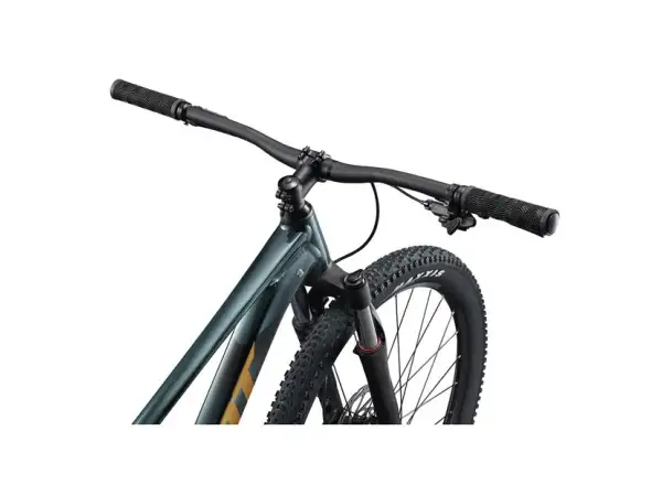 Giant Talon 29 2 rower górski Asphalt Green