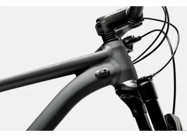 Cannondale Trail SL 4 29" rower górski Gray