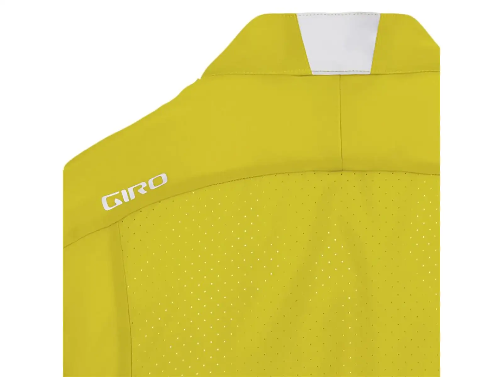 Giro Chrono Expert Wind męska koszulka z długim rękawem Cascade Green