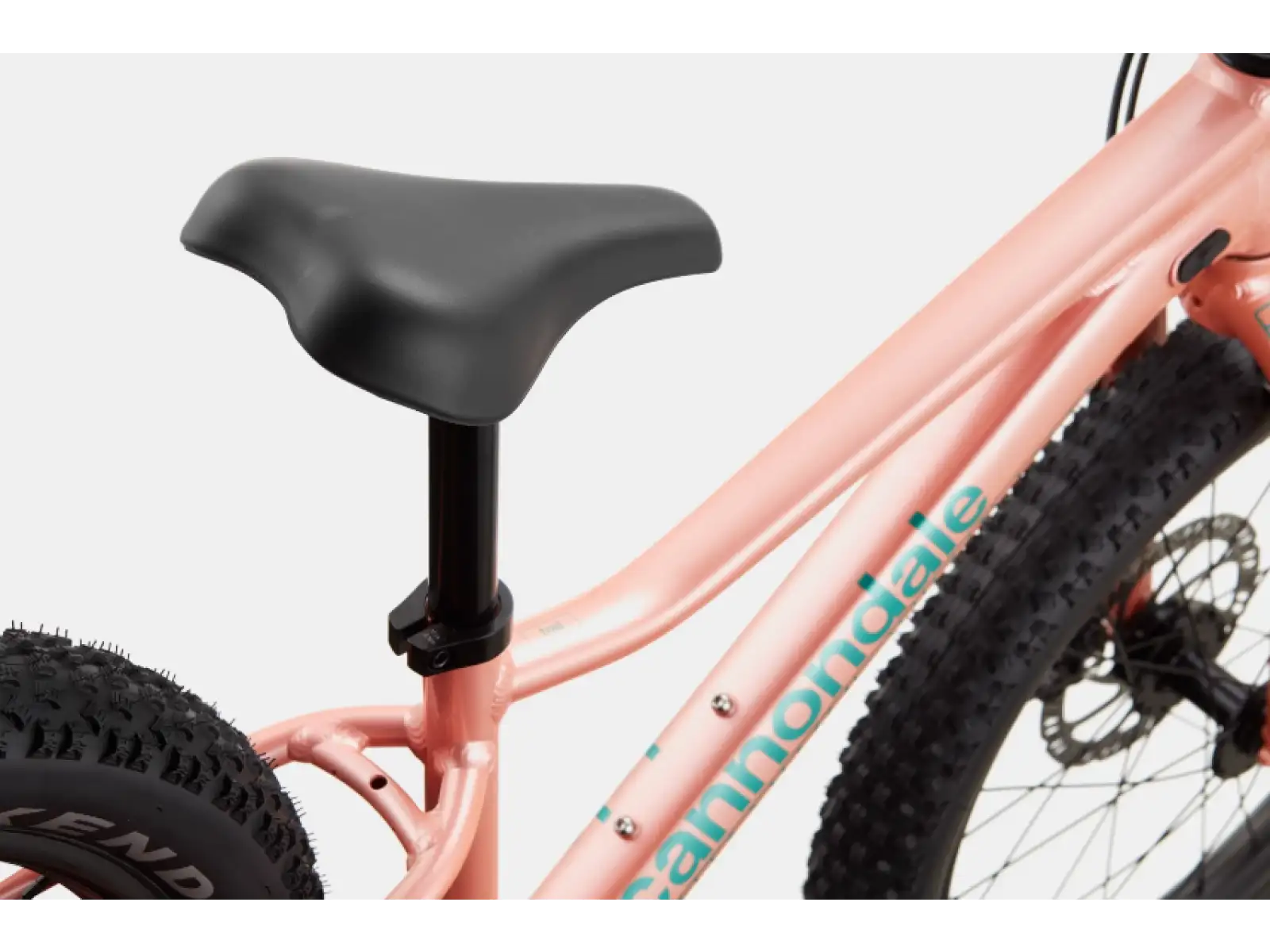 Cannondale Trail Plus 20 rower dziecięcy Salmon