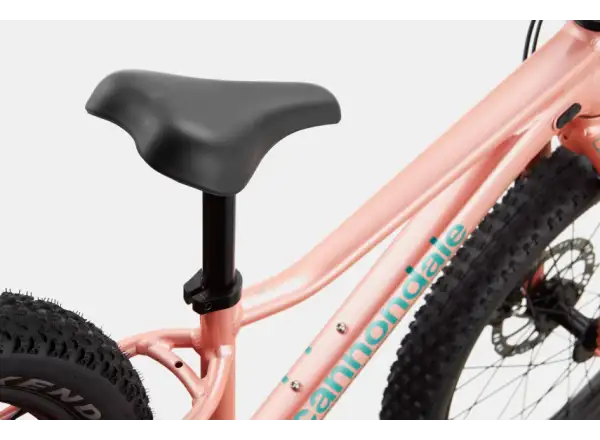 Cannondale Trail Plus 20 rower dziecięcy Salmon