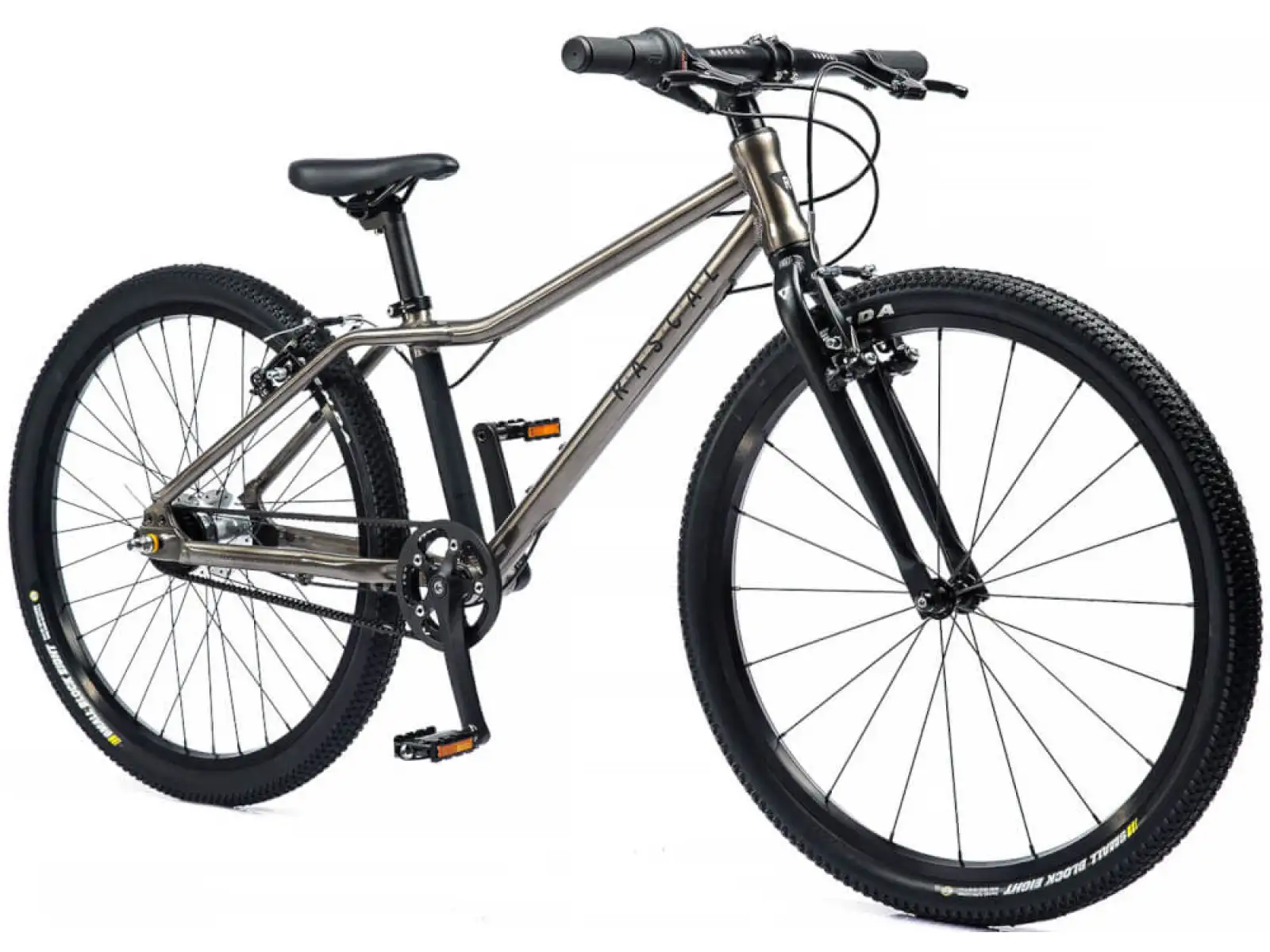 Rascal 24 5 sp. Sturmey Archer rower dziecięcy Titan