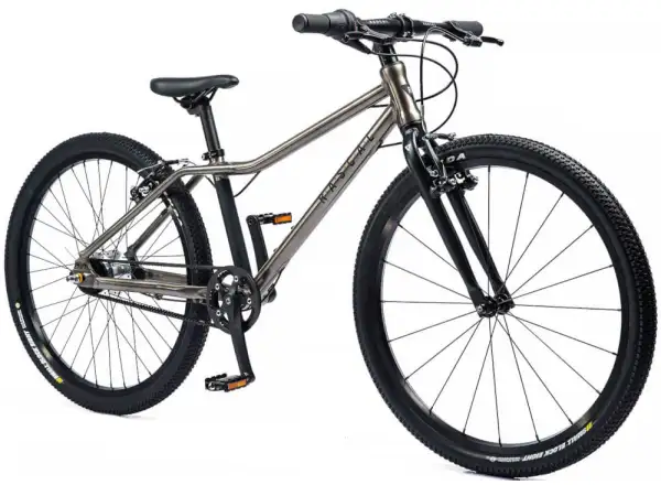 Rascal 24 5 sp. Sturmey Archer rower dziecięcy Titan