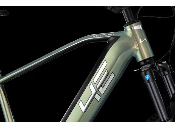 4EVER Exstream Team 820 górski rower elektryczny Snake green/hologram