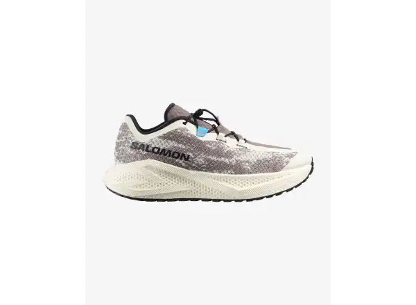 Salomon Aero Glide 4 GRVL męskie buty do biegania Vanila/Black/Iron