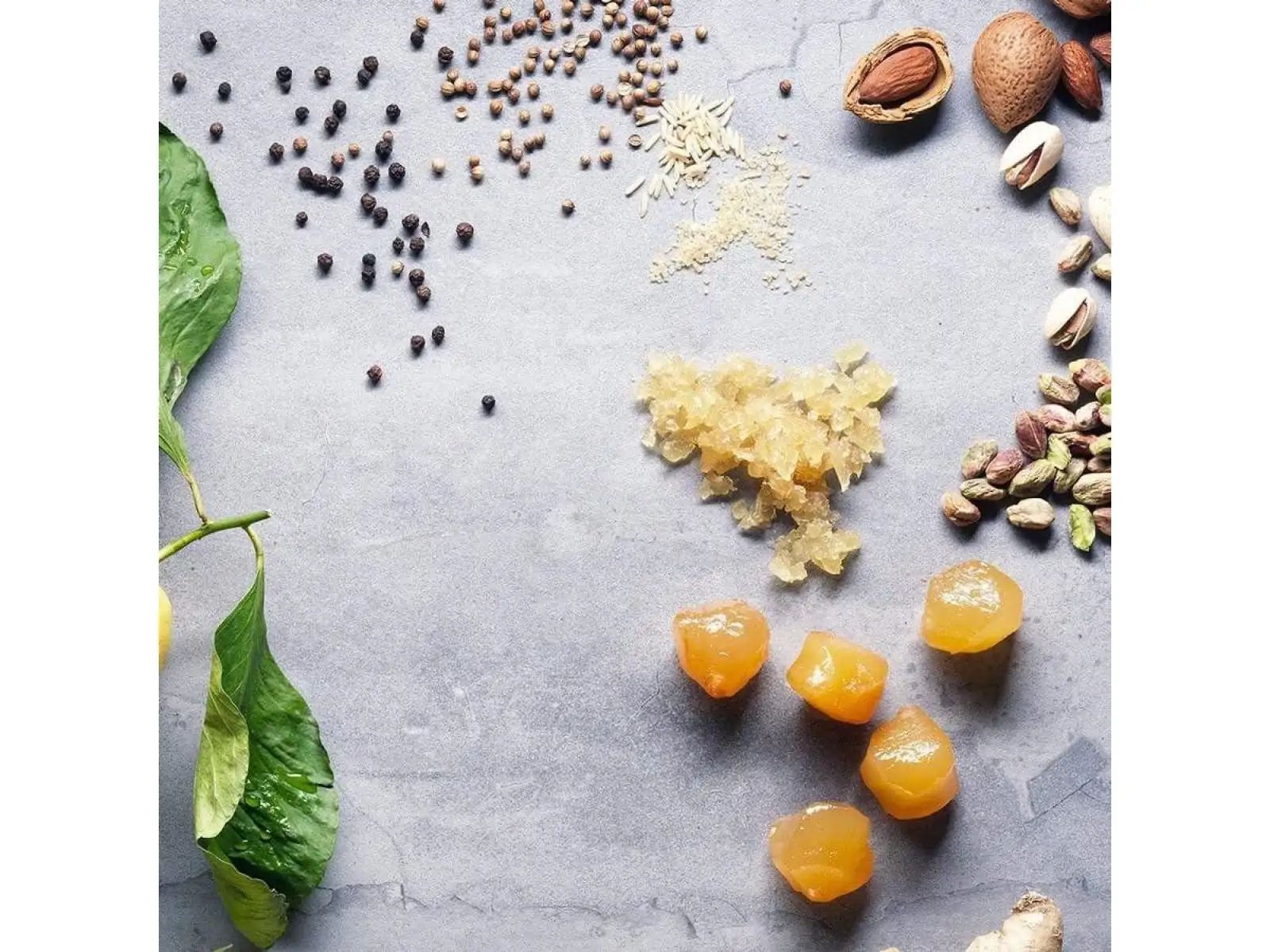 Veloforte Zenzero Bar baton 62 g Lemon, Ginger & Pistachios