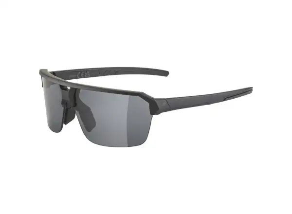Alpina Swift HR okulary Black Matt