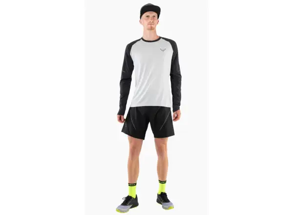 Dynafit Alpine Pro męska koszulka z długim rękawem Blueberry/Storm Blue