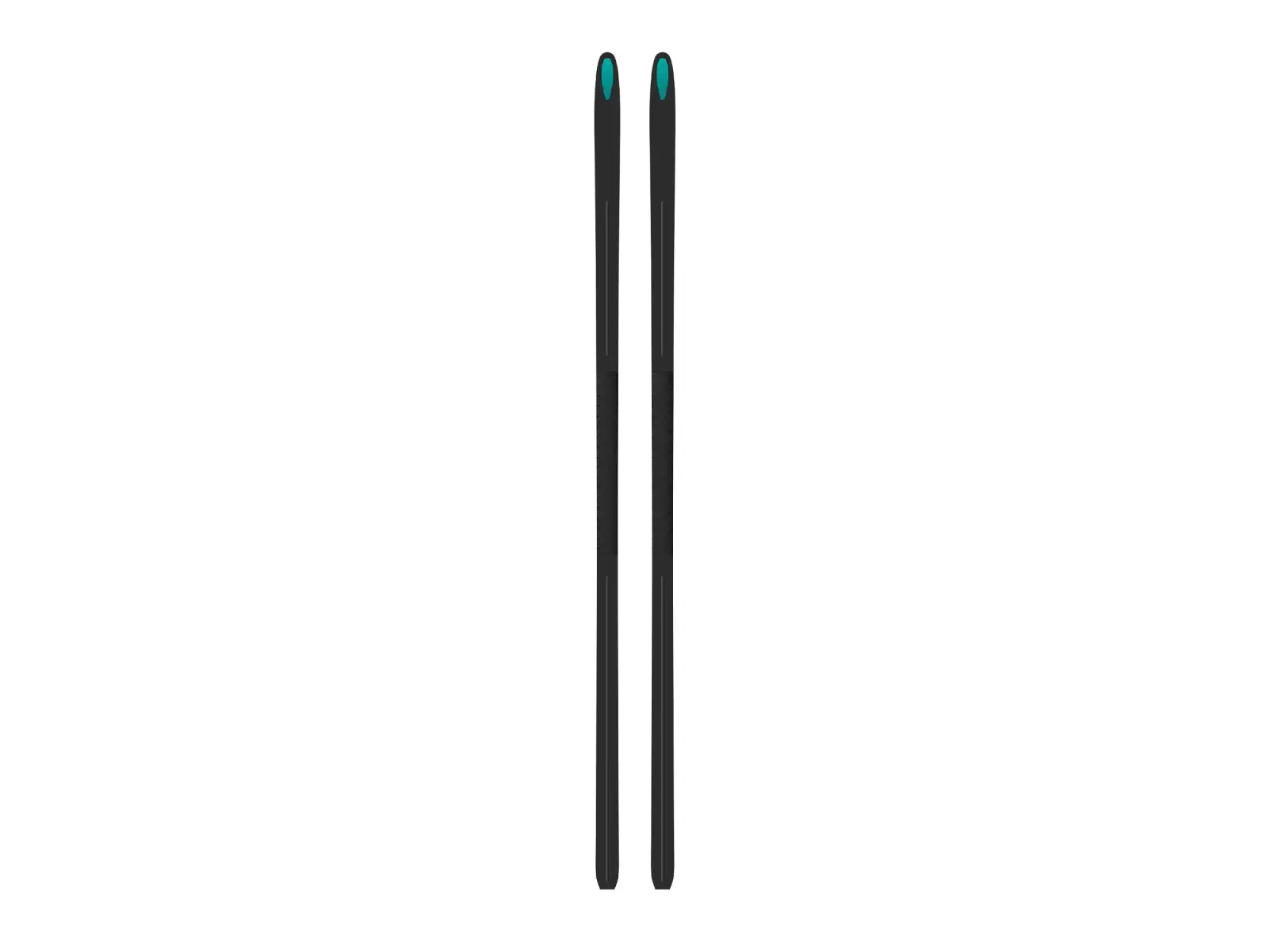 Kästle XA20 Classic Skin Medium narty biegowe