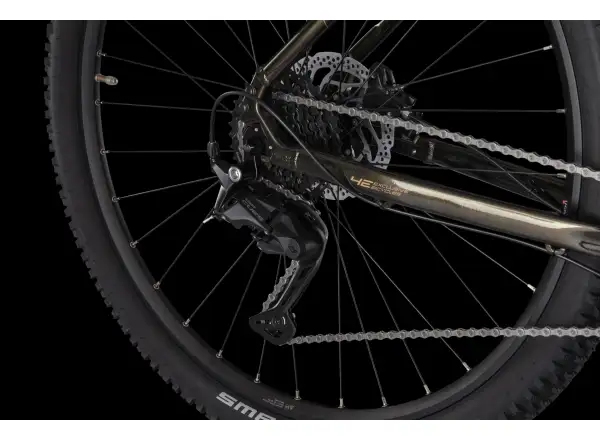 4Ever Frontbee XCM 29" rower górski Gold galaxy