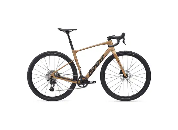 Giant Revolt Advanced 1 gravel rower Steampunk