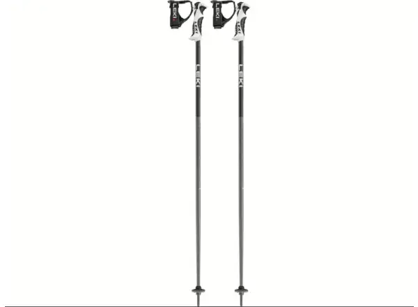 Leki Bold S kije zjazdowe Dark Anthracite/Black/White