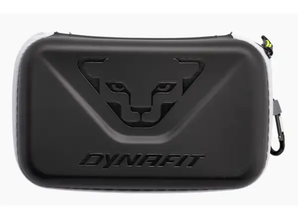 Dynafit Sky Evo okulary Winter Moss/Dawn