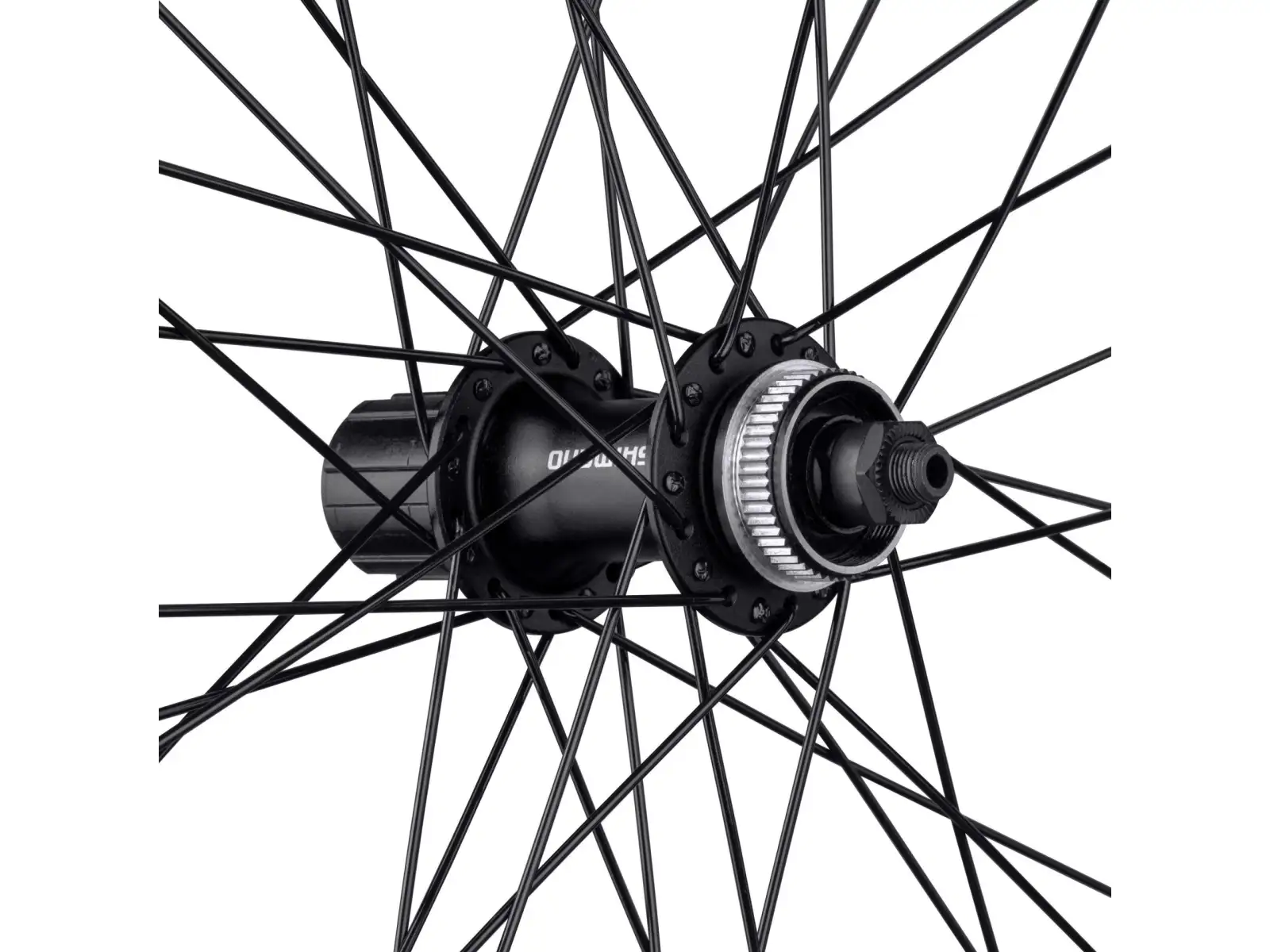 Force XC Disc 29 CL przednie koło zaplecione piasta Shimano