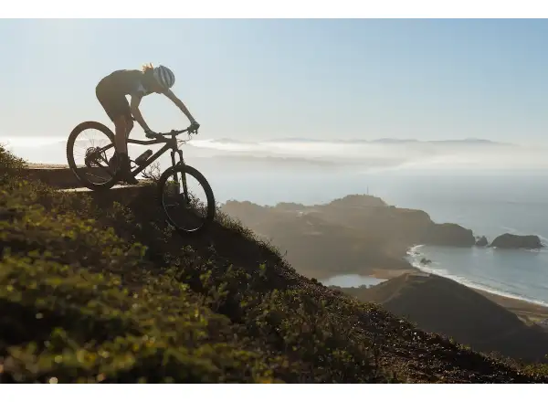 IBIS DV9 frame set Muddy Waters