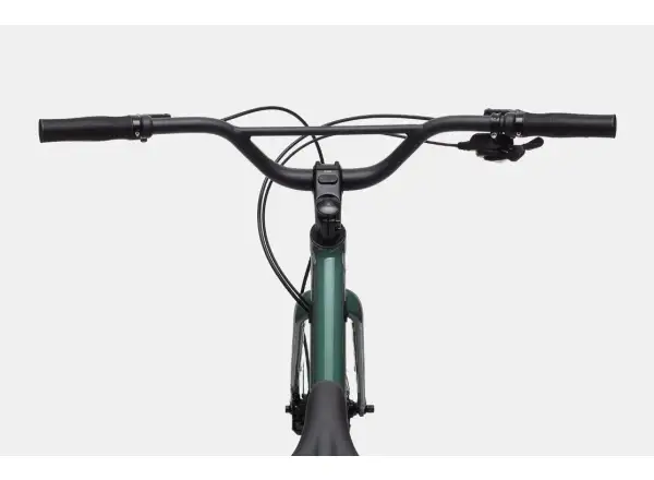 Cannondale Treadwell 2 Remixte rower fitnessowy Jade