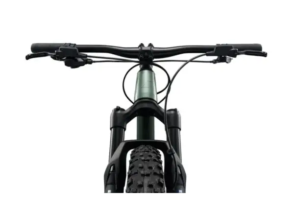 Liv STP 24 dziecięcy rower górski Alpine Green