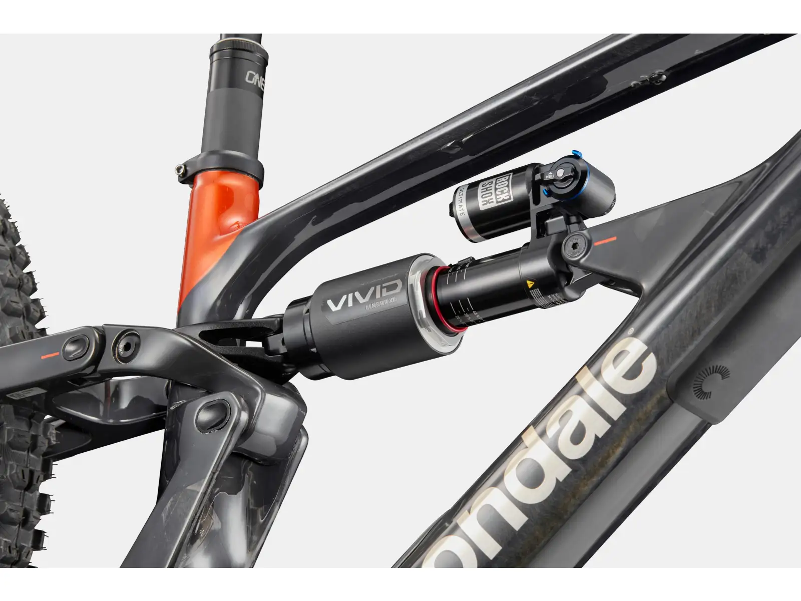 Cannondale Bad Habit 1 rower górski RAW Carbon
