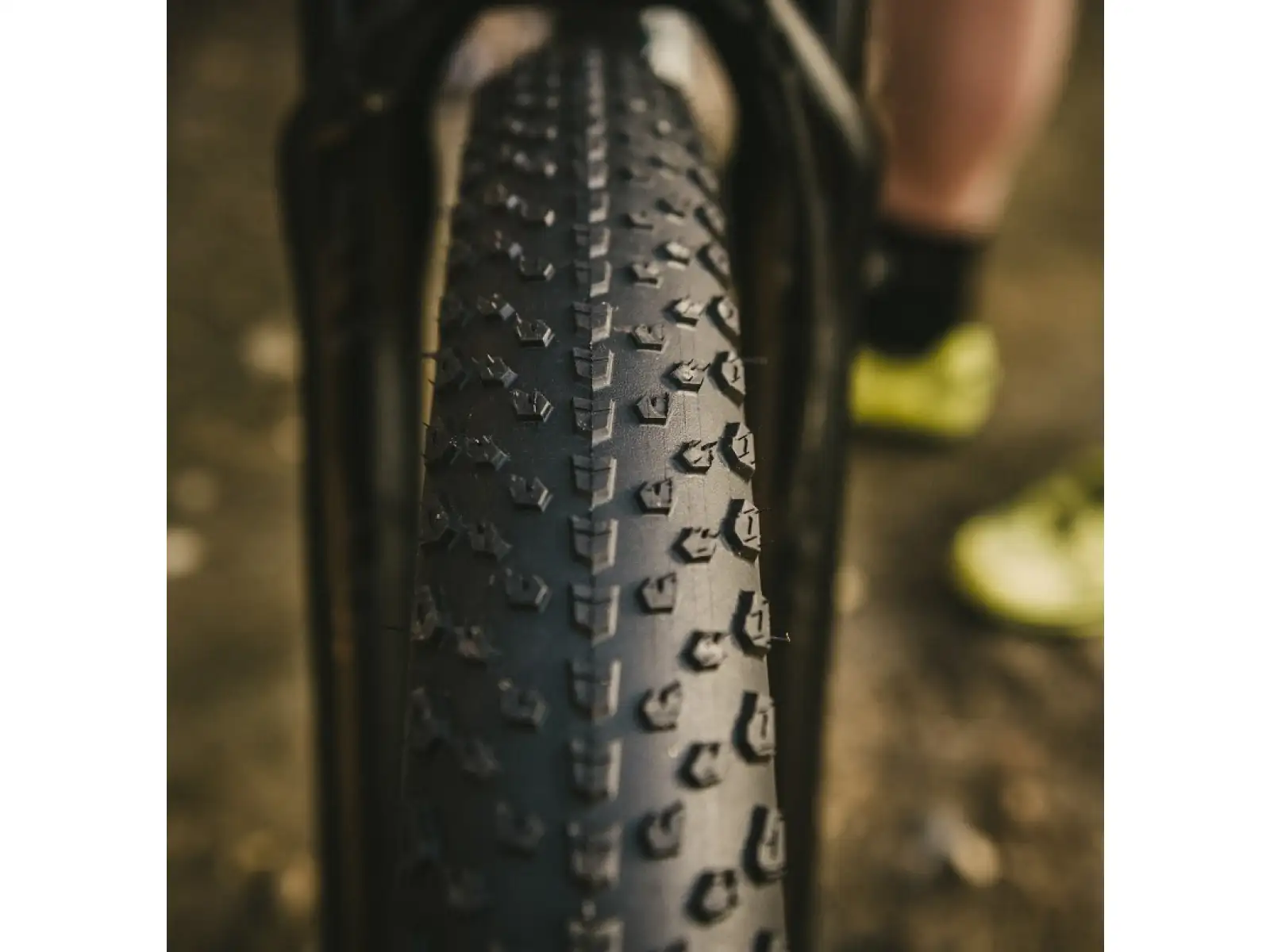 Goodyear Peak SL Race Tubeless Complete 29x2,40" MTB opona kevlar Tan
