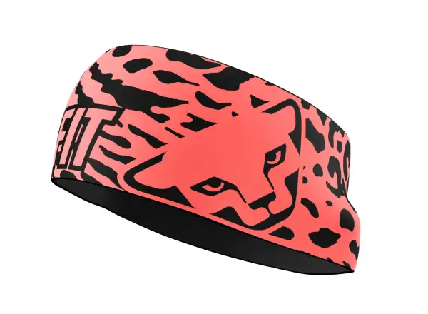Dynafit Graphic Performance opaska Ultra Coral/Leo