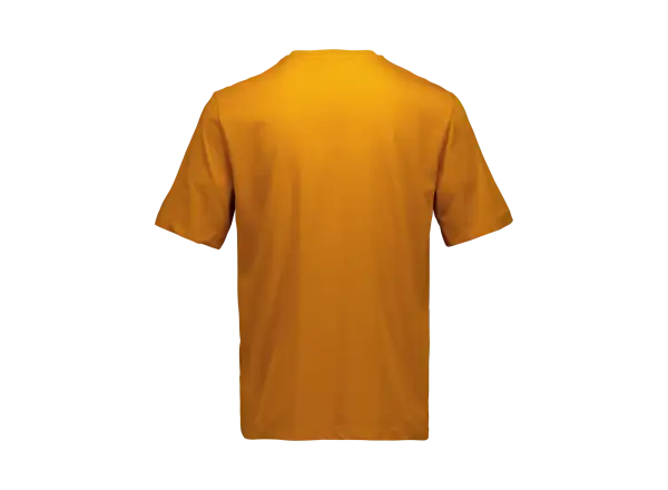 POC Tee męska koszulka Bauxite Brown