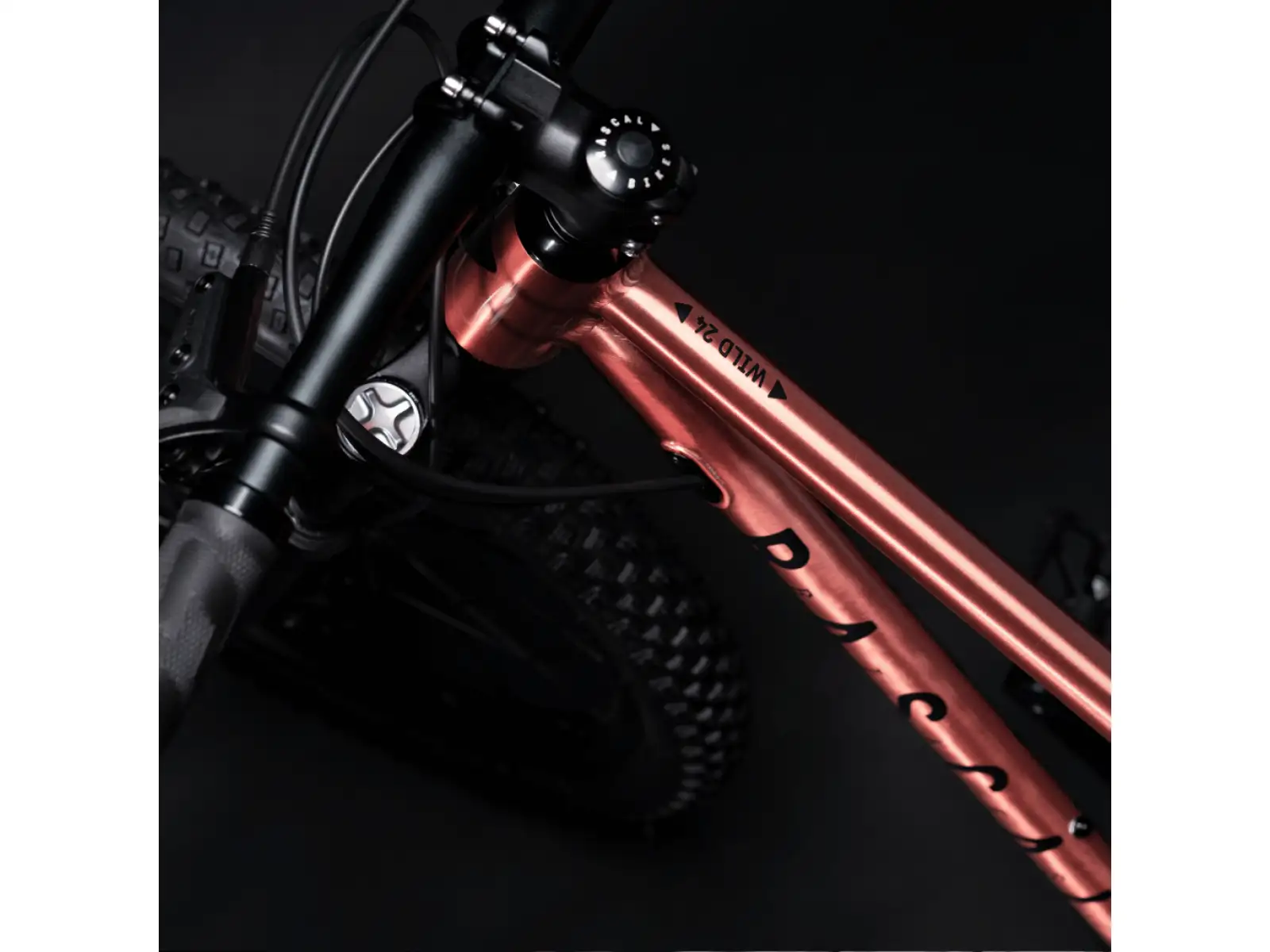 Rascal Wild 24 rower dziecięcy Bronze