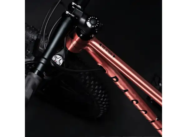 Rascal Wild 24 rower dziecięcy Bronze