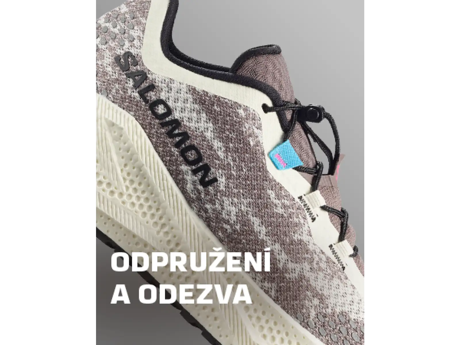 Salomon Aero Glide 4 GRVL męskie buty do biegania Vanila/Black/Iron