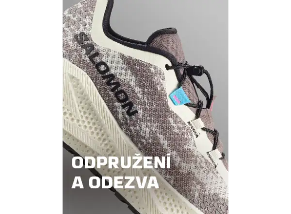 Salomon Aero Glide 4 GRVL męskie buty do biegania Vanila/Black/Iron