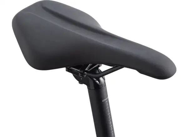 Giant Roam 2 Disc Black rower trekkingowy