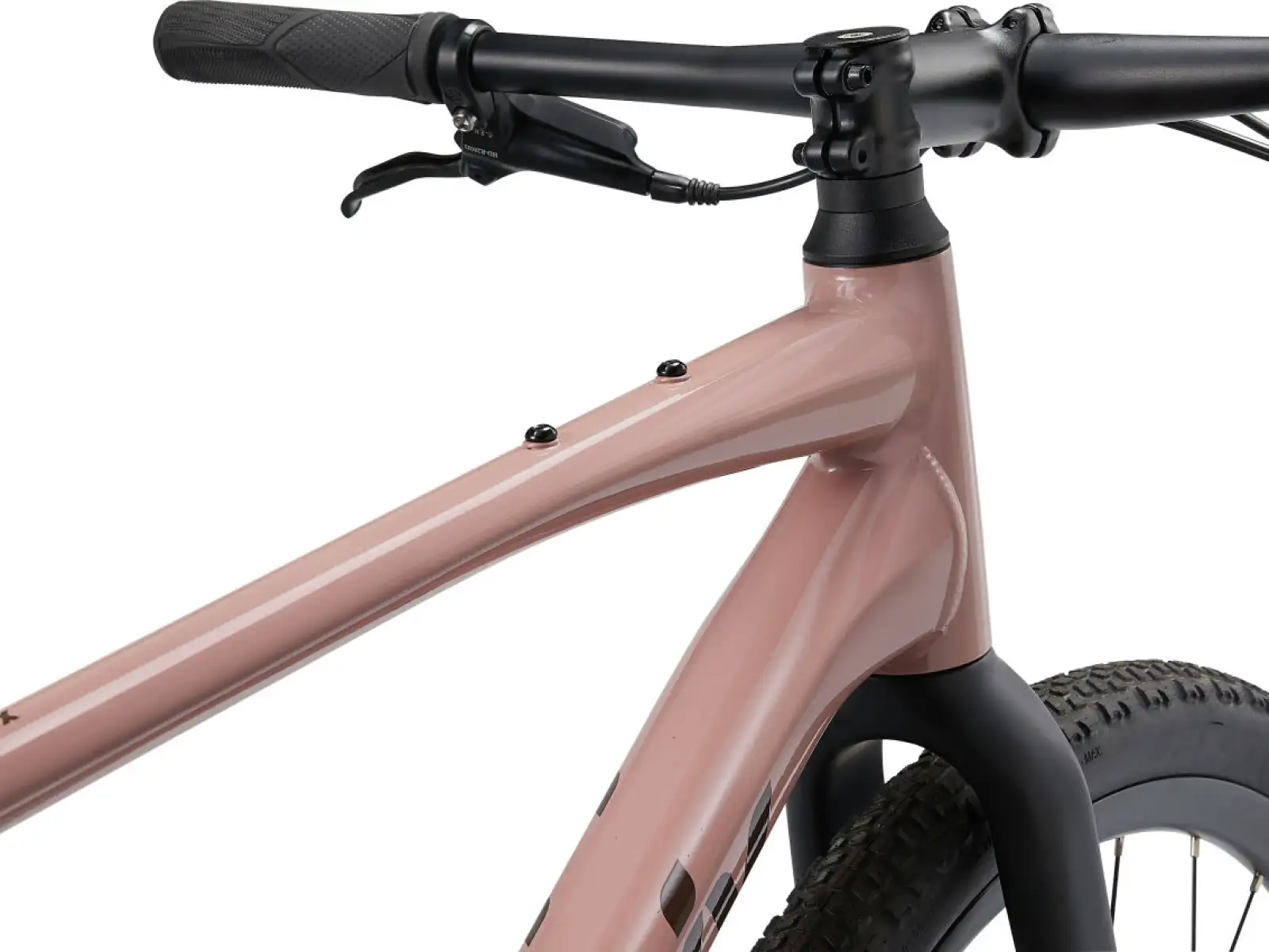 Liv Thrive GX rower fitness petra clay