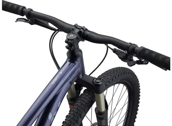 Liv Tempt 29 1 GE rower górski Droga Mleczna