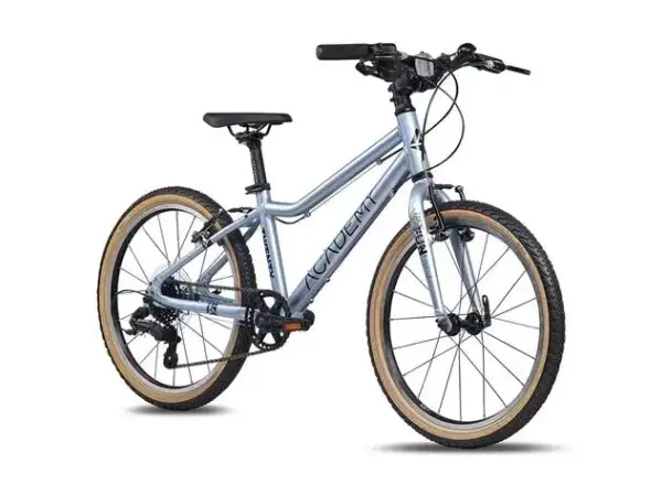 Academy Grade 4 Edition Funtasy rower dziecięcy 20" srebrny
