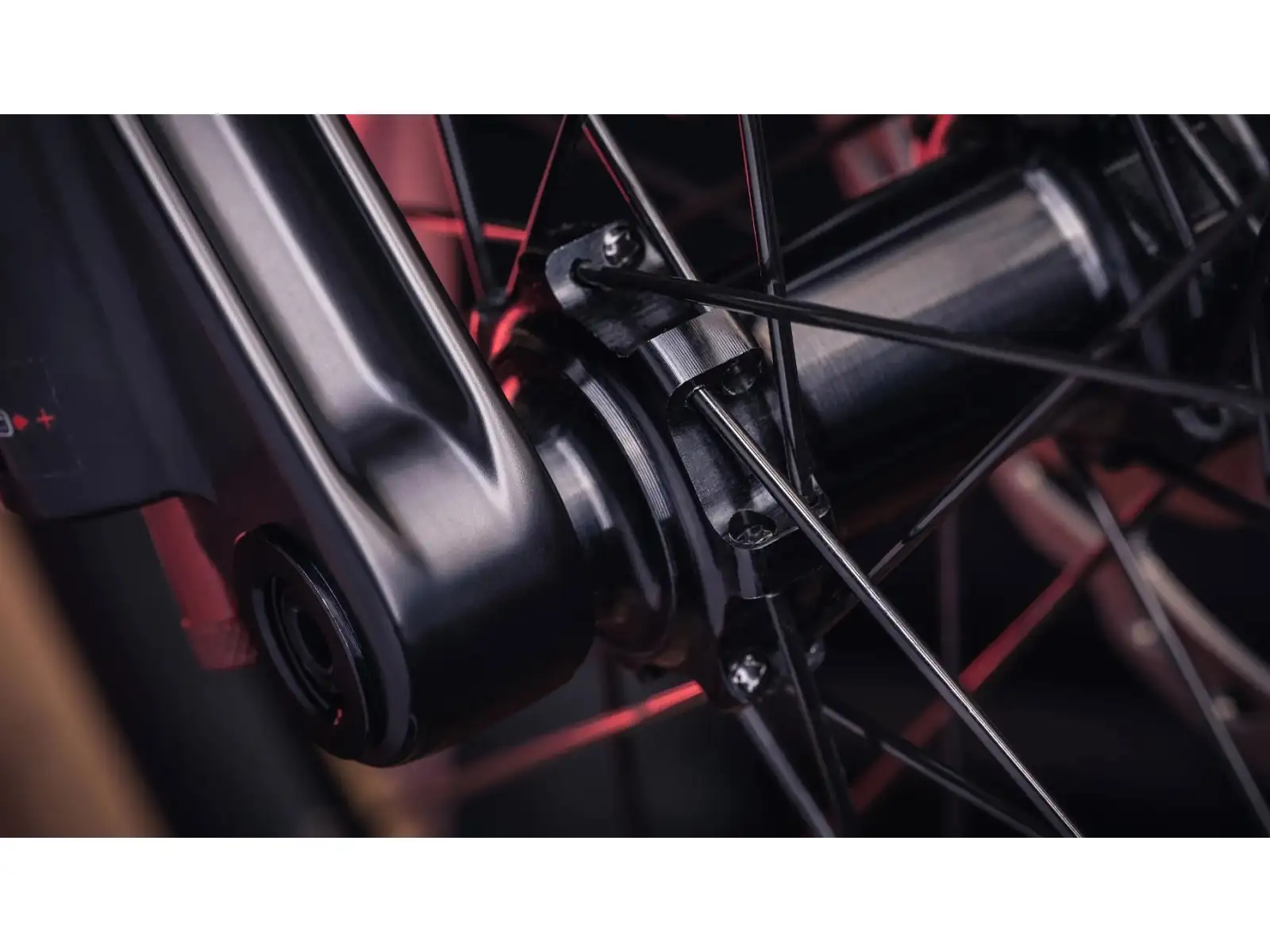 Early Rider Hellion X24 rower dziecięcy Raw