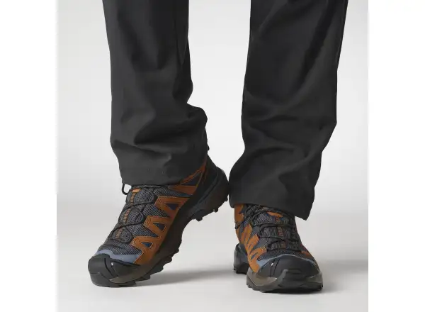 Salomon X Ultra 360 LDR MID GTX męskie buty turystyczne Blue Nights/Caramel Cafe/Grisaille