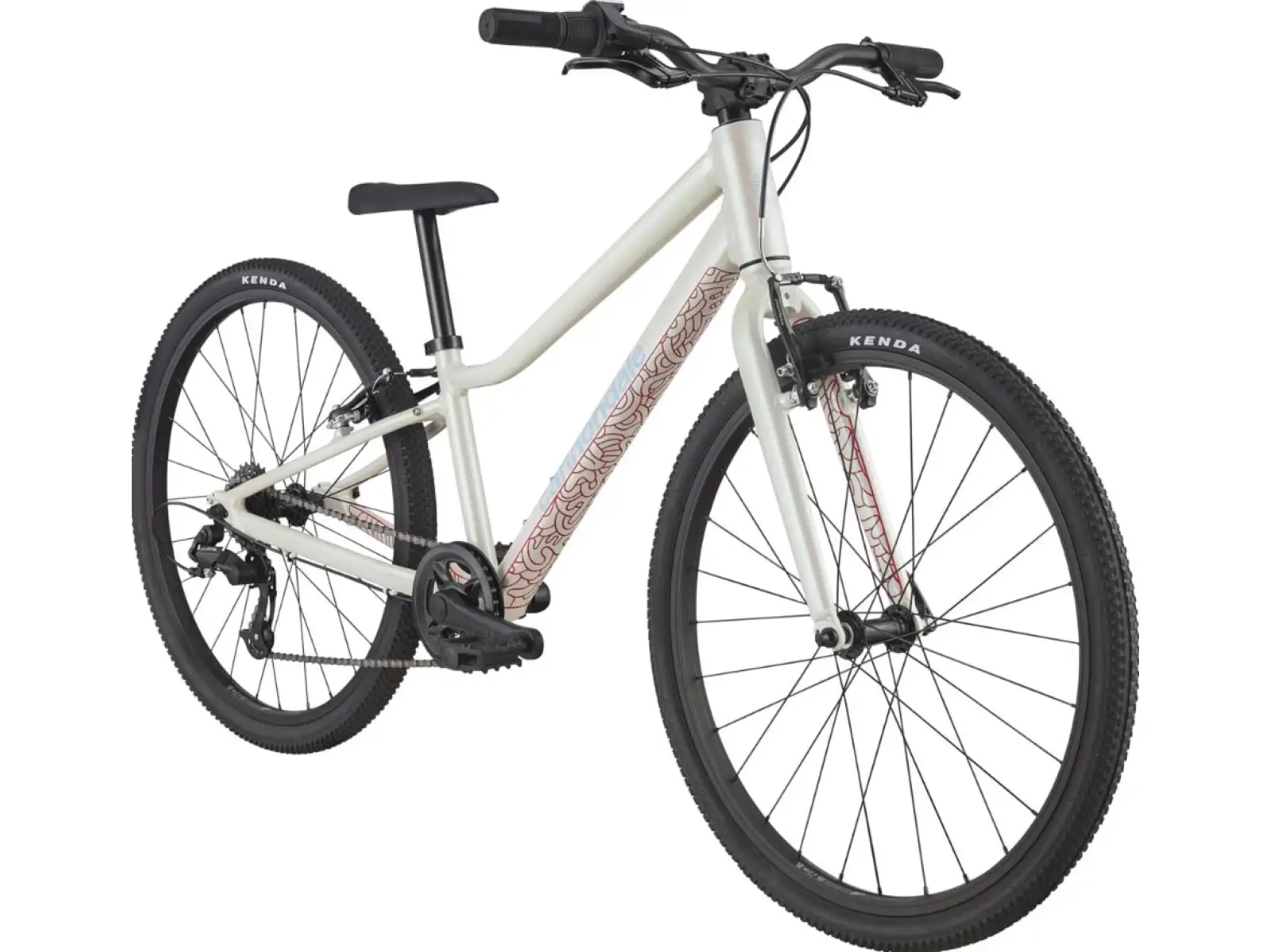 Cannondale Quick 24 rower dziecięcy IRD