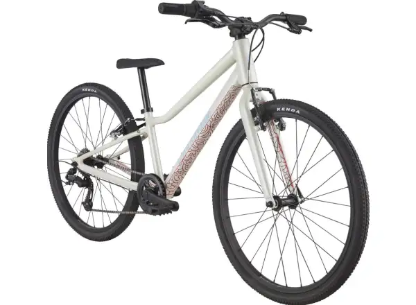 Cannondale Quick 24 rower dziecięcy IRD