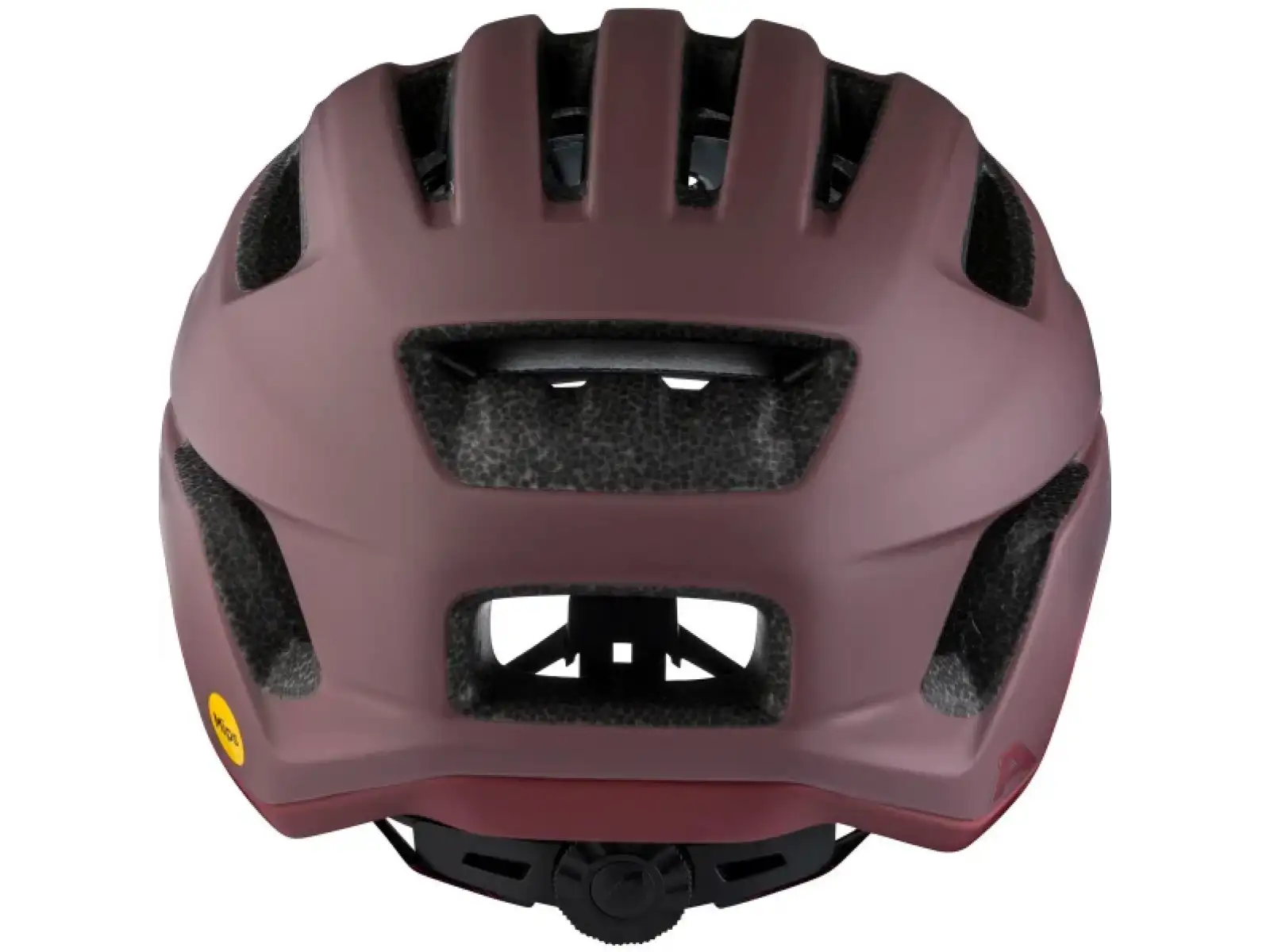 Alpina Paranus Mips kask Raisin Matt