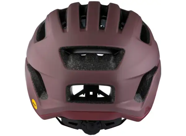 Alpina Paranus Mips kask Raisin Matt