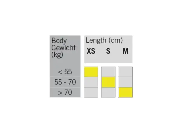 Fischer Mystique EF narty biegowe + Control Step wiązania