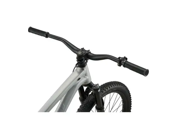 Giant STP 26 rower dirt Brush Aluminum